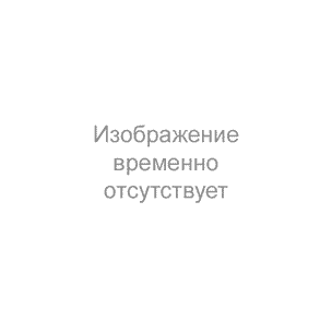 Гортензия метельчатая Пинкачу